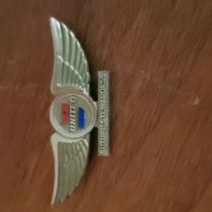 Vintage United Airlines Wings